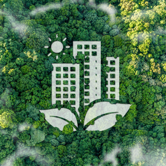 Decarbonization Master Plan